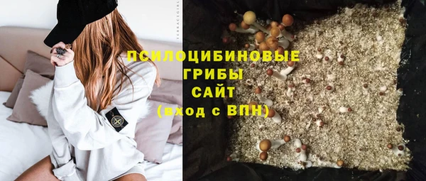 гашик Алексеевка