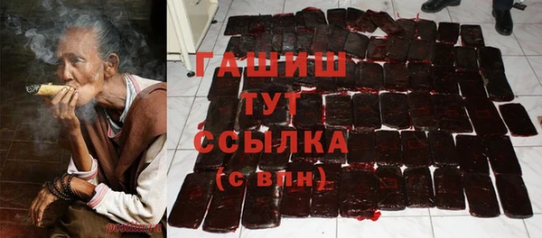 гашик Алексеевка