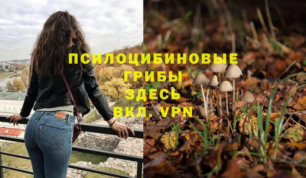 гашик Алексеевка