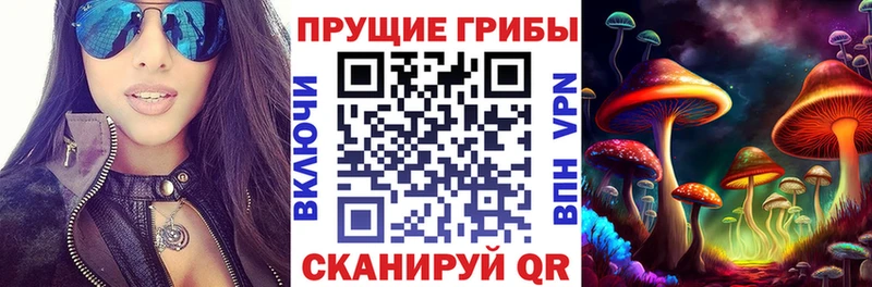 Псилоцибиновые грибы Psilocybine cubensis цены KRAKEN ссылки Себеж