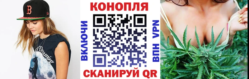 МАРИХУАНА тримм  закладка  Себеж 